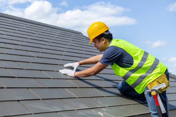 Best Storm Damage Roof Repair  in Lauderhill, FL