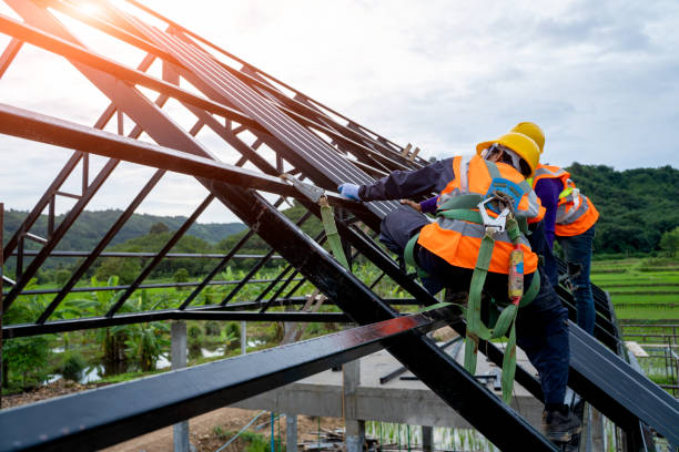 Best Storm Damage Roof Repair  in Lauderhill, FL